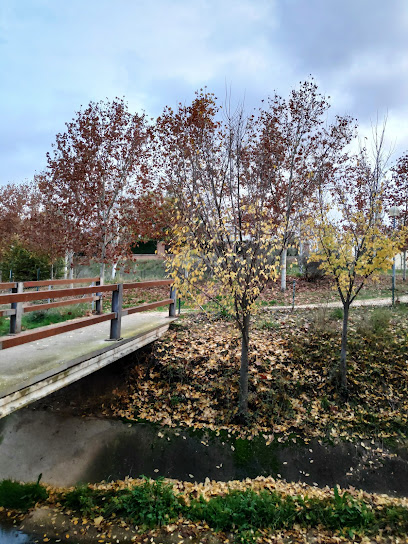 Piscina Del Bbv Cabanillas Del Campo – Cabanillas del Campo
