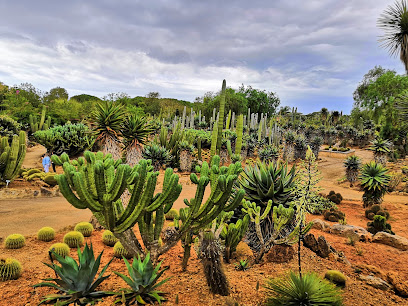 Piscina Ses Salines – Las Salinas
