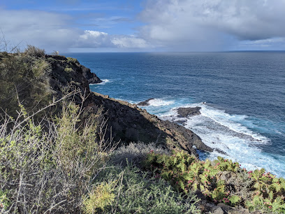 Charco de La Laja – La Laguna