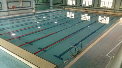 Piscina municipal de la Alamedillafoto 