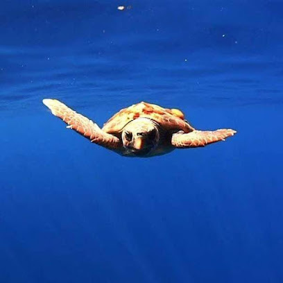 La Piscina´´ Valsequillofoto