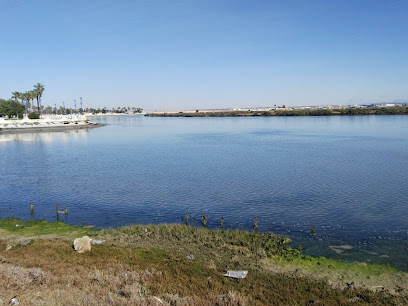 Piscina Cubierta La Magdalenafoto 