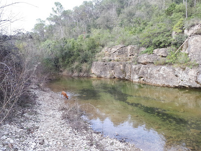 Gorg de Can Bartolífoto 