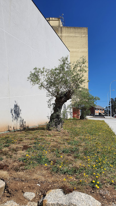 Piscina municipal de Cercedafoto