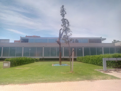Piscina provincial de Castellón – Castellón de la Plana