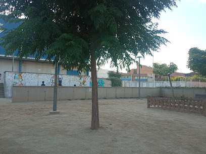 Piscinas Municipales de Alcoletgefoto 