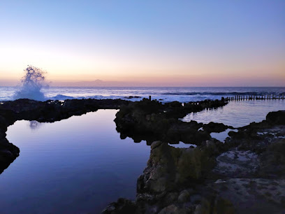 Natural swimming poolfoto 