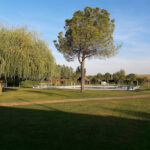 Piscina Pública Municipal de Calera y Chozas.foto