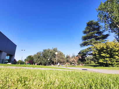 Piscina Municipal La Sindicalfoto 
