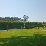 piscina municipal, Xancedafoto