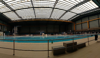 Piscina Municipal De Vecindariofoto 