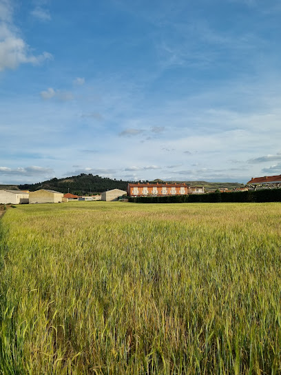 Piscinas municipalesfoto 