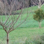 Piscina Municipalfoto