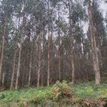 Piscina Municipal Iván Raña Fuentesfoto