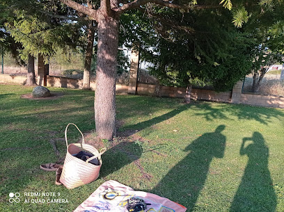 Piscina Municipal El Cortijofoto 