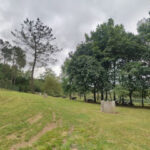 Piscina Municipal de Cesurasfoto