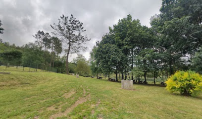 Piscina Municipal de Cesurasfoto 